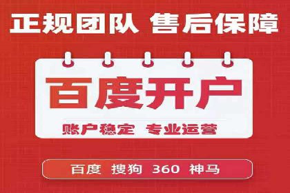 专业SEM服务公司案例分析报告
